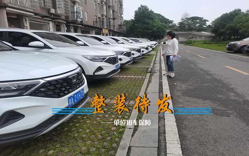 整装待发